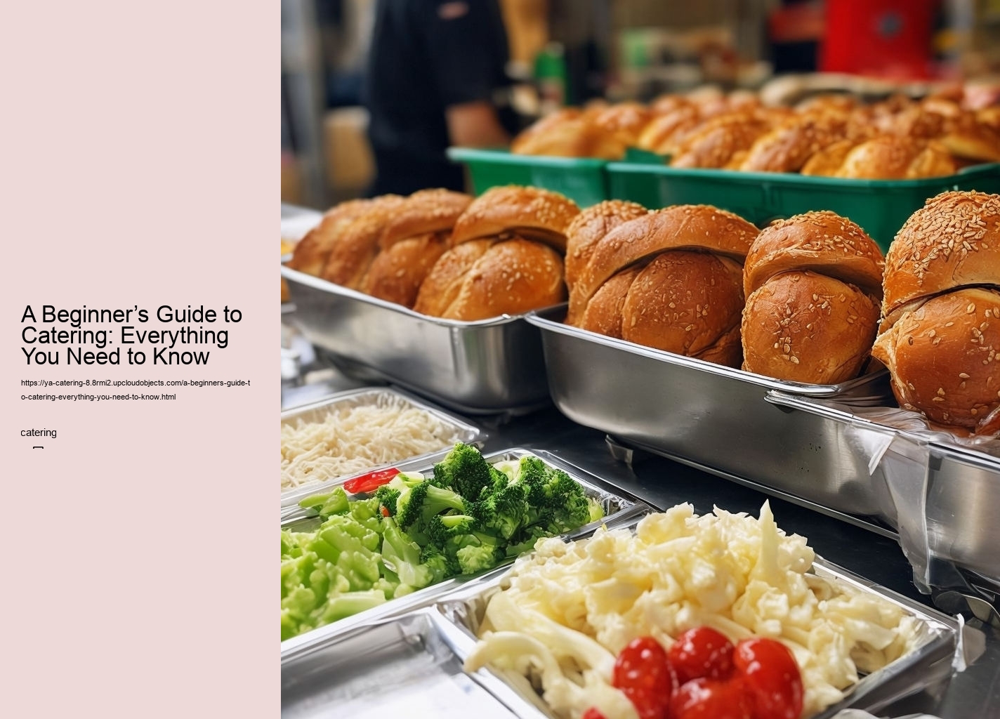 A Beginner’s Guide to Catering: Everything You Need to Know